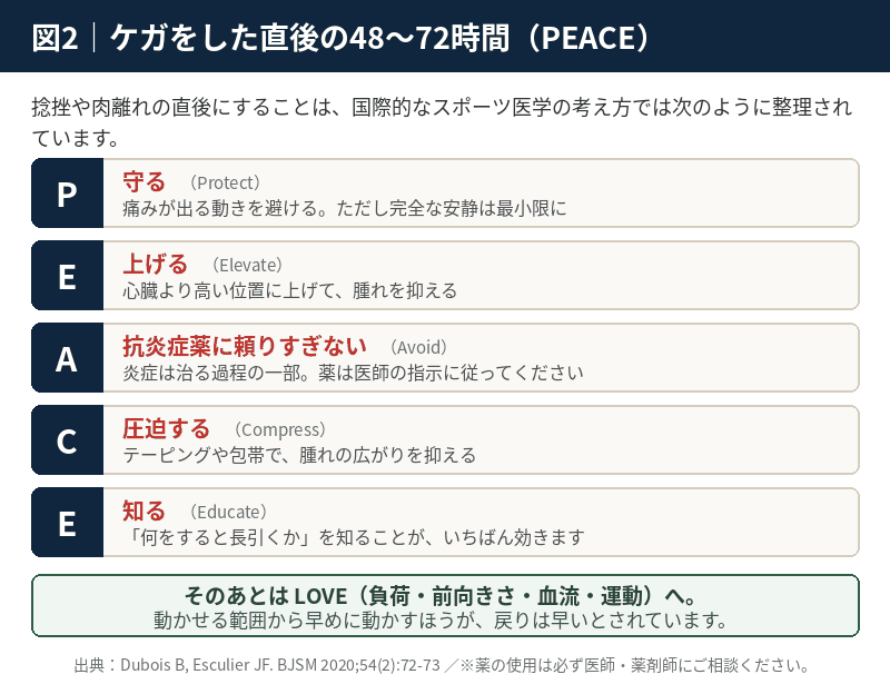 捻挫・肉離れ直後の対応PEACE|守る・上げる・抗炎症薬に頼りすぎない・圧迫する・知る