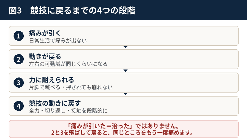 スポーツ復帰の4段階｜①痛みが引く②動きが戻る③力に耐えられる④競技の動きに戻す
