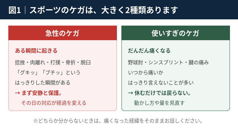 スポーツのケガの2分類｜急性のケガ（捻挫・肉離れ・打撲・骨折・脱臼）と使いすぎのケガ（野球肘・シンスプリント・腱の痛み）の違い