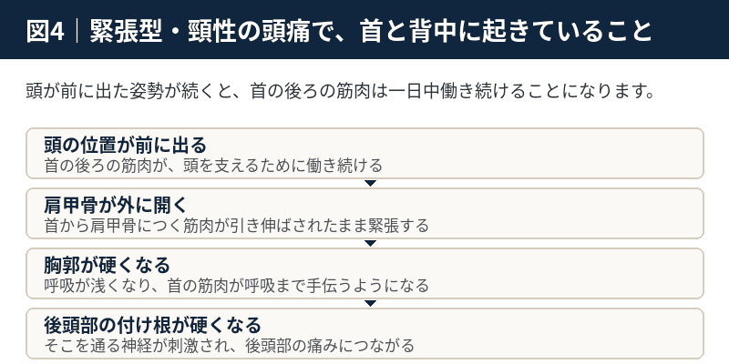 頭が前に出る、肩甲骨が開く、胸郭が硬くなる、後頭部の付け根が硬くなるという流れを示した図